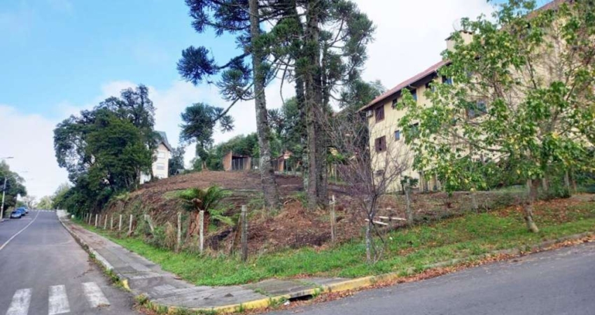 Terreno Residencial à venda, Vila Maggi, Canela - TE0375.