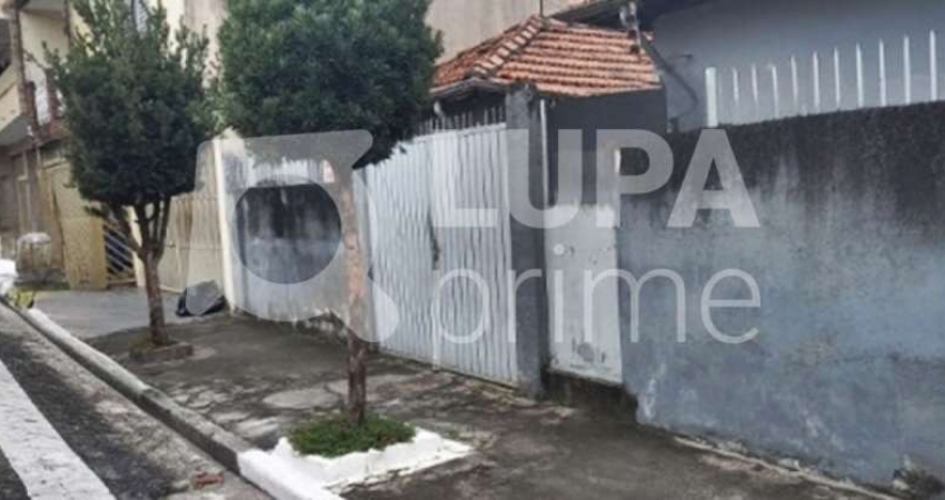 TERRENO RESIDENCIAL COM 215M² PARA VENDA, VILA SABRINA, SÃO PAULO