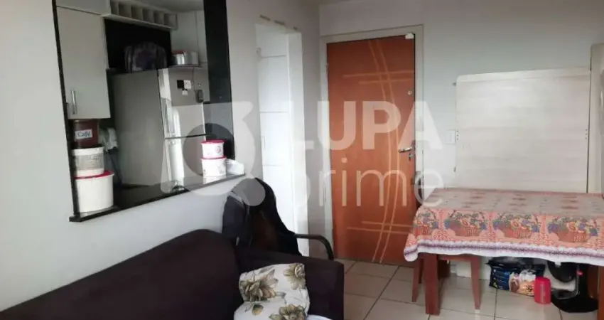 Apartamento com 2 dormitórios á venda no Parque Novo Mundo!