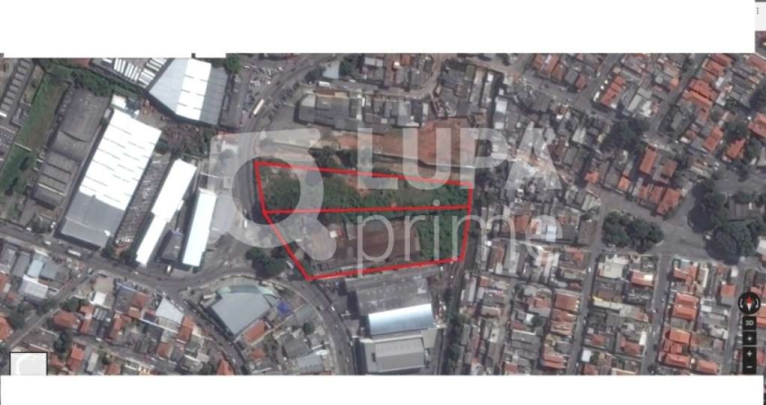 Terreno comercial para alugar na Estrada Turística do Jaraguá, 840, Vila Jaraguá, São Paulo