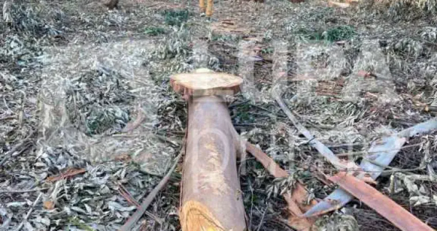 Terreno, em condomínio fechado, de 1575m² à venda, em Mairiporã