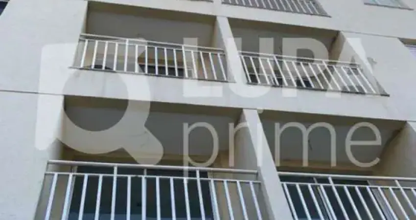 APARTAMENTO COM 2 DORMITÓRIOS PARA VENDA VILA CURUÇÁ, SÃO PAULO