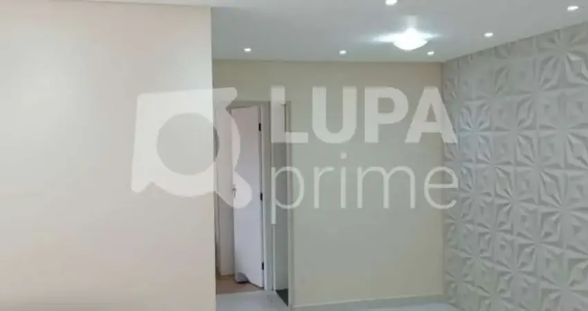 APARTAMENTO 3 DORMITÓRIOS 80 M2 1 VAGA, VILA BUENO AIRES