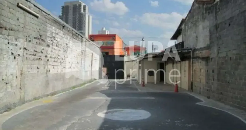 Terreno comercial para alugar na Avenida Gustavo Adolfo, 831, Vila Gustavo, São Paulo