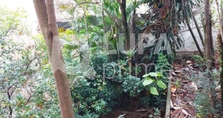Terreno à venda na Avenida Nova Cantareira, 1254, Tucuruvi, São Paulo
