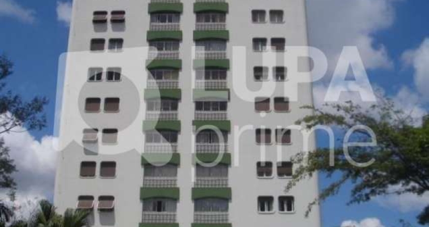 Apartamento com 3 quartos à venda na Avenida Nova Cantareira, 4211, Tucuruvi, São Paulo