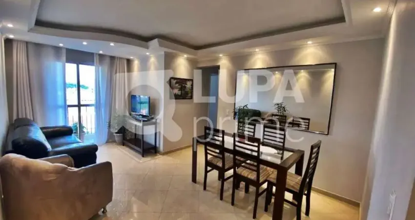 APARTAMENTO COM 3 QUARTOS E 1 VAGA PARA VENDA, VILA ANTONIETA, SÃO PAULO