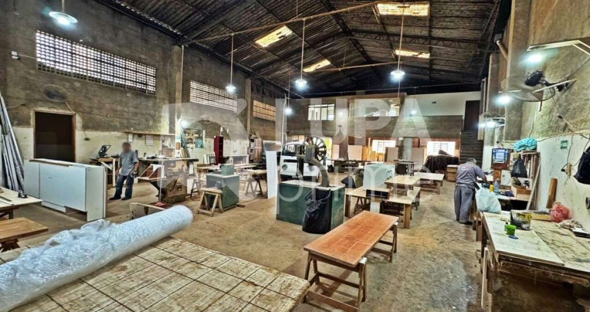 GALPÃO COMERCIAL COM 1.000M² À VENDA NA VILA AMÁLIA
