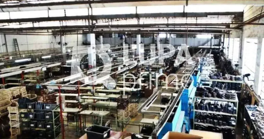 Barracão / Galpão / Depósito para alugar na Rua Lopes da Costa, 352, Jaçanã, São Paulo