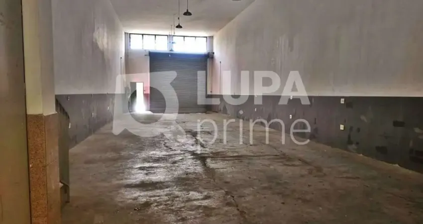 Barracão / Galpão / Depósito para alugar na Rua Santa Olívia, 232, Jardim Andaraí, São Paulo