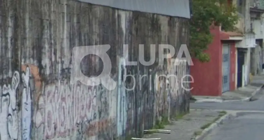 Terreno comercial para alugar na Rua Aperibé, 579, Parque Edu Chaves, São Paulo
