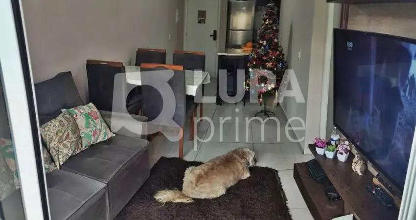 Apartamento com 2 quartos à venda na Rua José de Albuquerque, 62, Tucuruvi, São Paulo