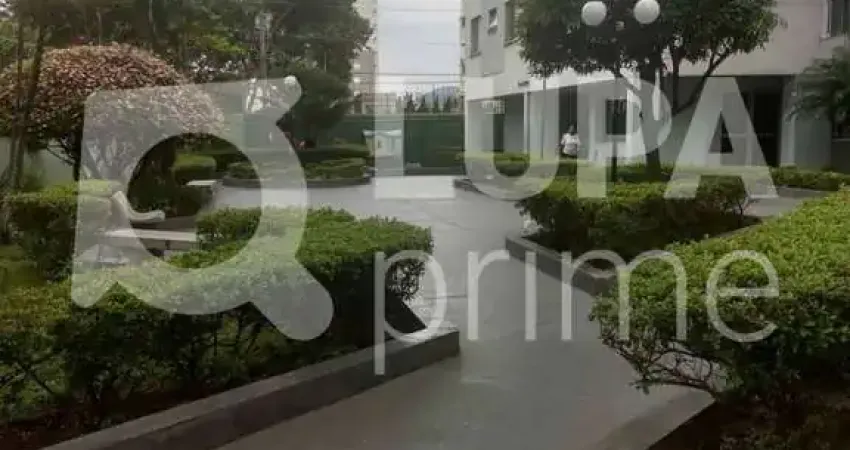 Apartamento com 2 quartos à venda na Rua Pedro Brasil Bandecchi, 181, Vila Amélia, São Paulo