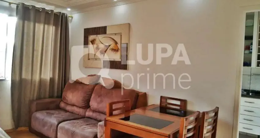 APARTAMENTO COM 3 QUARTOS PARA VENDA, VILA CONSTANÇA, SÃO PAULO