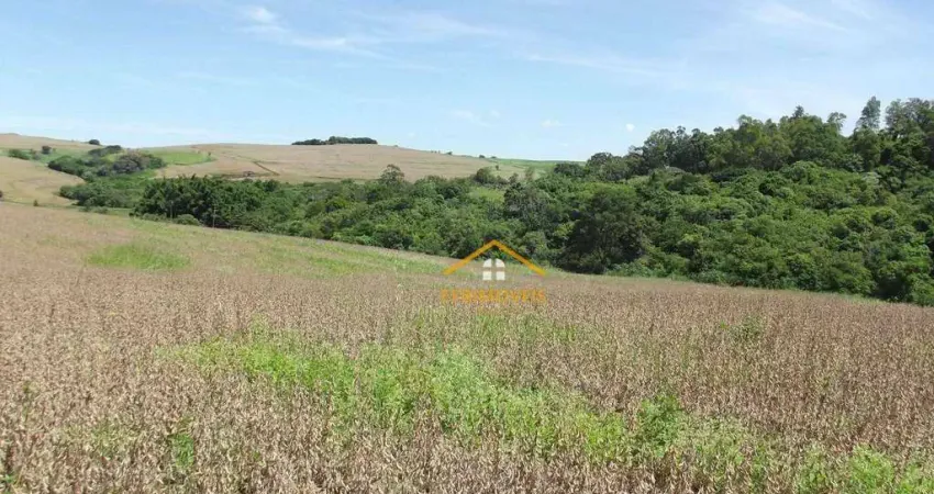 Fazenda à venda, 145200 m² por R$ 1.500.000 - Monte Verde - Santo Antônio da Platina/PR