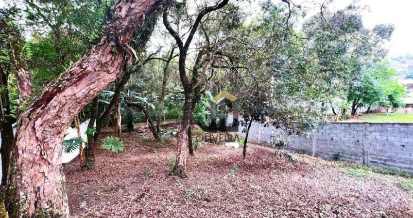 Terreno à venda, 728 m² por R$ 250.000,00 - Vitória Régia - Atibaia/SP