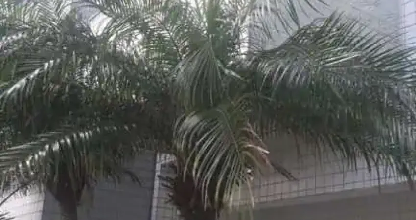 Apartamento para venda em itanhaém, jardim iberá, 2 dormitórios, 1 suíte, 2 banheiros, 2 vagas