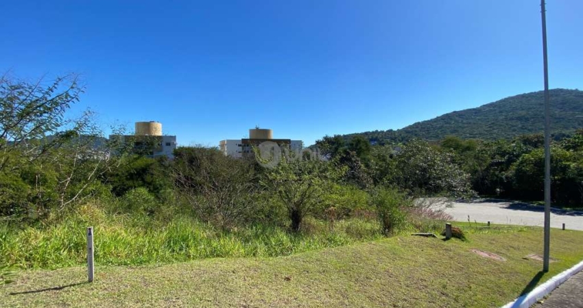 Terreno à venda no Itacorubi, Florianópolis 