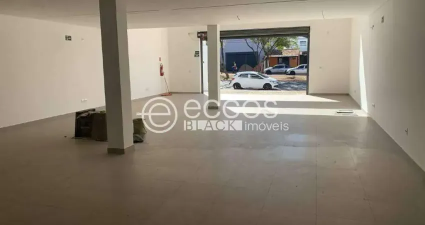 Ponto comercial para alugar na Avenida José Fonseca e Silva, 801, Dona Zulmira, Uberlândia