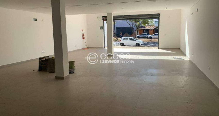 Loja para aluguel, 3 vagas, Dona Zulmira - Uberlândia/MG