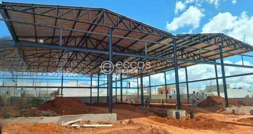Barracão / Galpão / Depósito para alugar na Avenida Victor Alves Pereira, --, Novo Mundo, Uberlândia