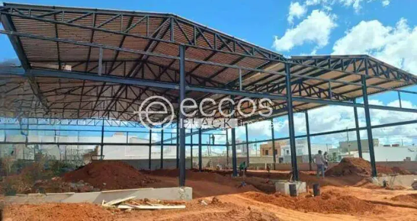 Barracão / Galpão / Depósito para alugar na Avenida Victor Alves Pereira, 924, Novo Mundo, Uberlândia