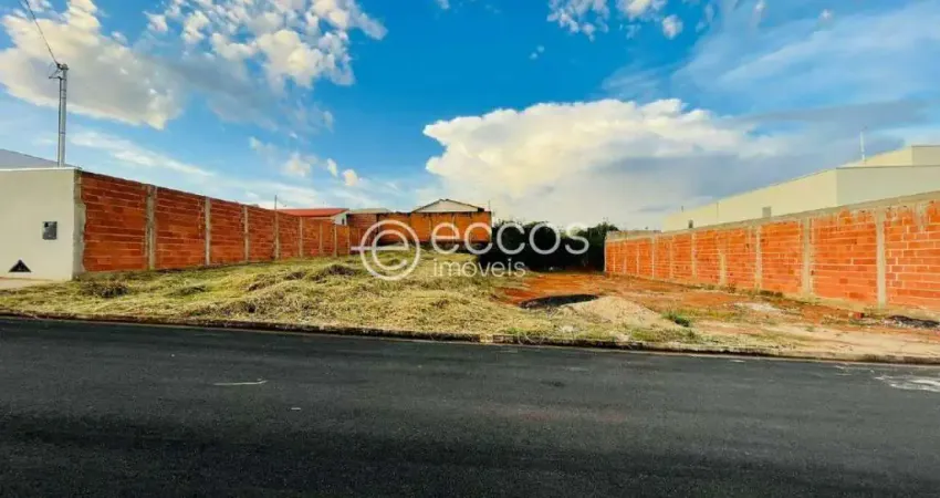 Terreno à venda na Rua Antônio Rocha, --, Interlagos, Araguari