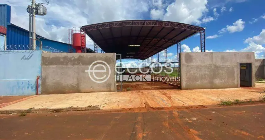 Galpão para aluguel, loteamento centro empresarial leste ii - uberlândia/mg