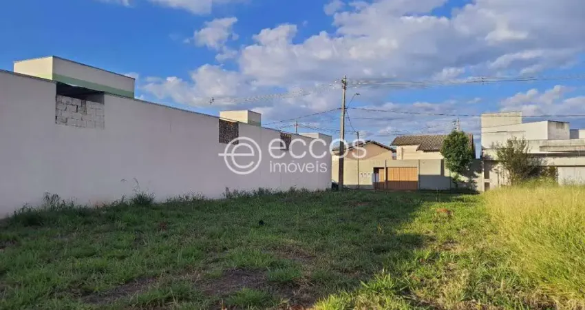 Terreno à venda na Rua Minneapolis, --, Novo Mundo, Uberlândia