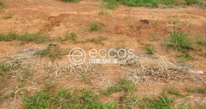 Terreno à venda na Alameda Dos Terenas Lot. Verde Umuarama, 101, Aclimação, Uberlândia