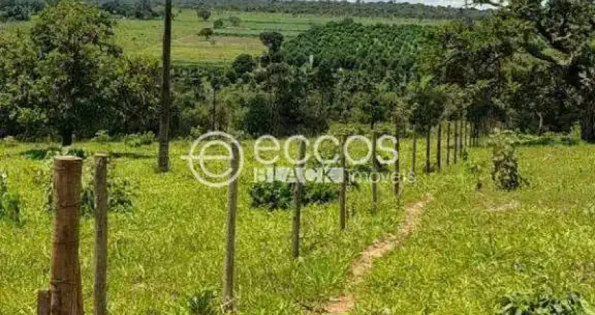 Chácara / sítio à venda na Rodovia BR-497, --, Chácaras Eldorado, Uberlândia
