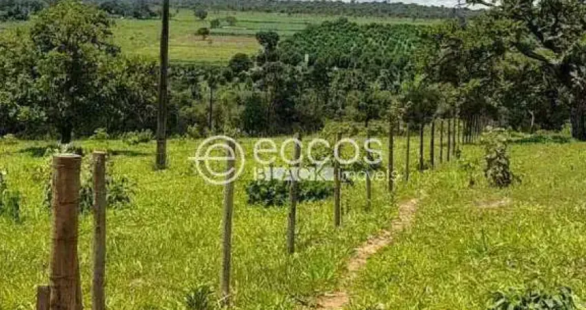 Chácara / sítio à venda na Rodovia BR-497, 100, Área Rural de Uberlândia, Uberlândia