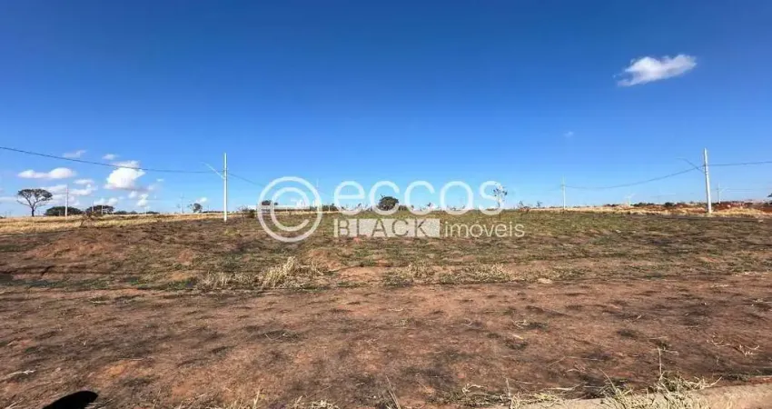 Terreno à venda na Rua Dimas Ferreira de Souza, 106, Residencial Fruta do Conde, Uberlândia
