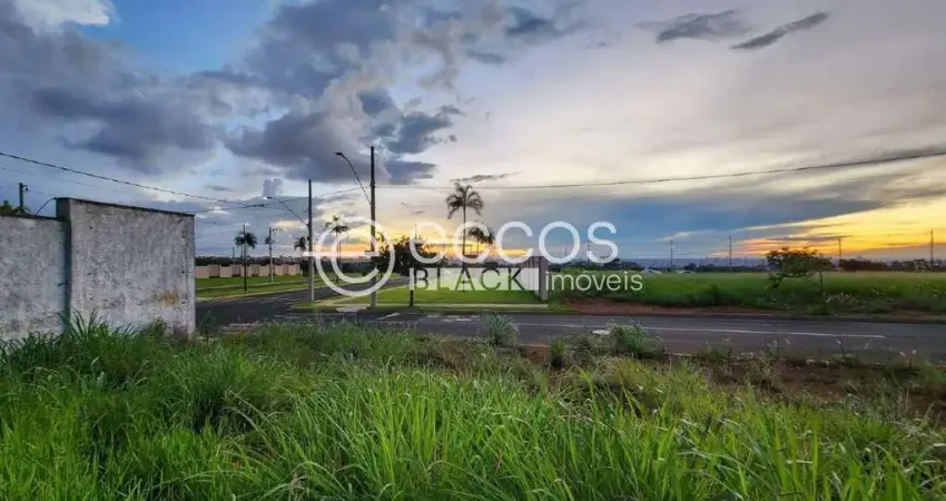 Terreno à venda na Rua Aquarela, 83, Alto Umuarama, Uberlândia