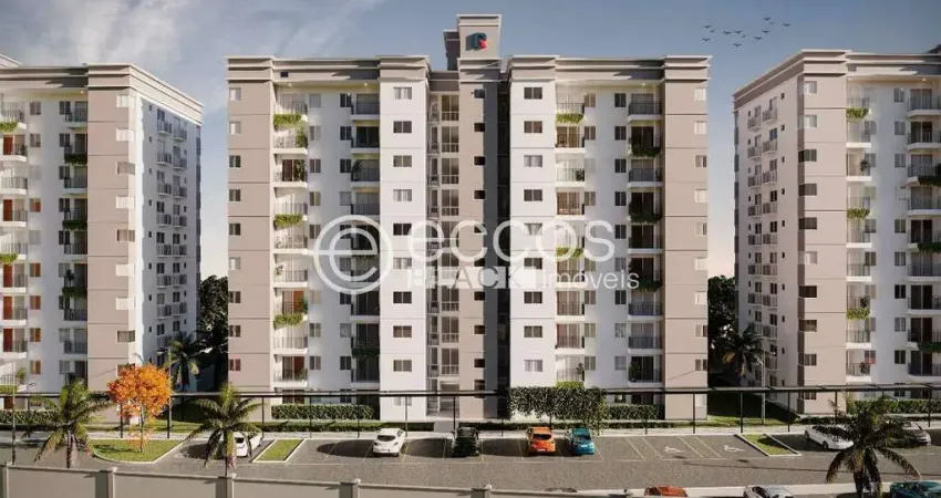 Apartamento à venda, 2 quartos, 1 vaga, alto umuarama - uberlândia/mg