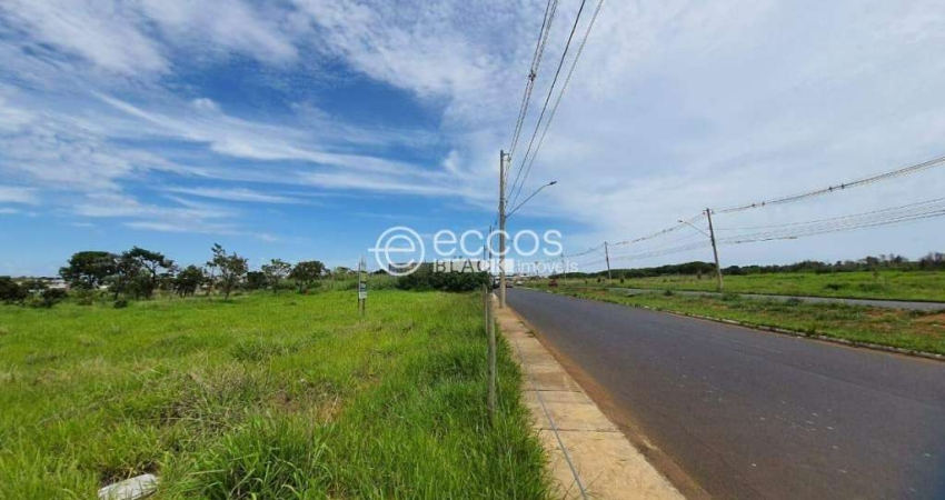Terreno à venda na Avenida Rui de Castro Santos, --, Custódio Pereira, Uberlândia