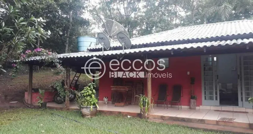 Chácara / sítio com 4 quartos à venda na Avenida José Andraus Gassani, Área Rural de Uberlândia, Uberlândia