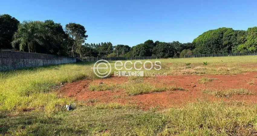 Terreno à venda na Rua das Palmeiras, --, Panorama, Uberlândia