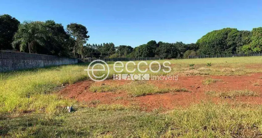 Terreno à venda na Rua das Palmeiras, 88, Panorama, Uberlândia