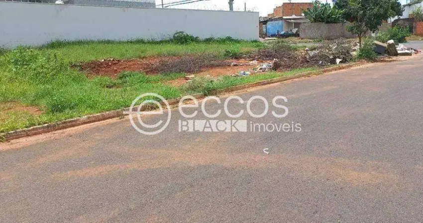 Terreno à venda na Rua João Coelho Guimarães, 75, Portal do Vale, Uberlândia