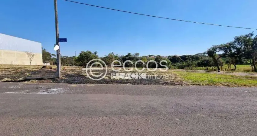 Terreno à venda na Avenida dos Siquieroli, 97, Jardim América I, Uberlândia