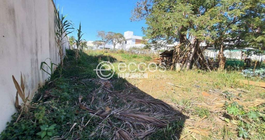 Terreno à venda na Rua Caracuri, --, Jardim Karaíba, Uberlândia