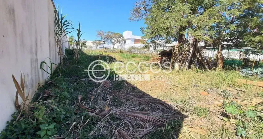 Terreno à venda na Rua Caracuri, 69, Jardim Karaíba, Uberlândia