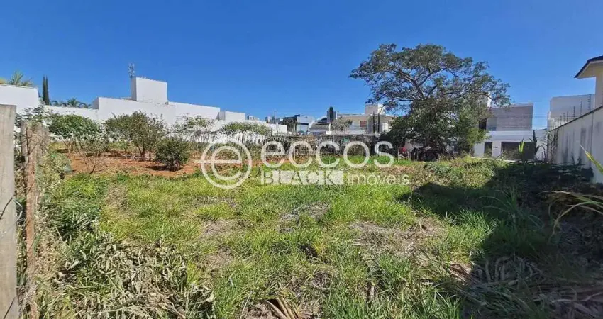 Terreno à venda na Rua Caracuri, 86, Jardim Karaíba, Uberlândia