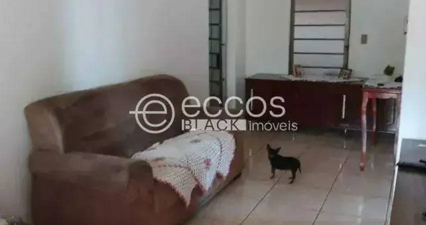 Casa à venda, 2 quartos, 2 vagas, Luizote de Freitas - Uberlândia/MG