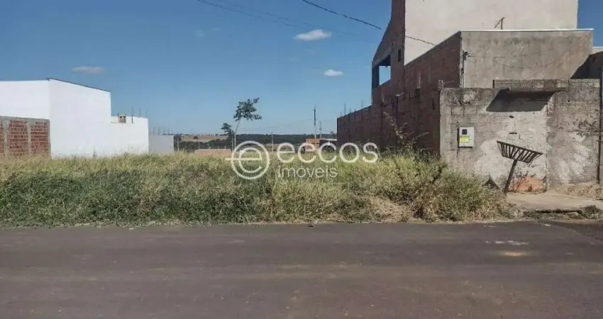 Terreno à venda na Rua Maria do Rosário Gonçalves de Oliveira, --, Jardim Milenium, Araguari