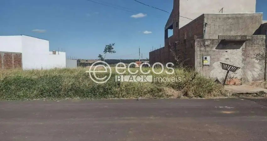 Terreno à venda na Rua Maria do Rosário Gonçalves de Oliveira, 79, Jardim Milenium, Araguari