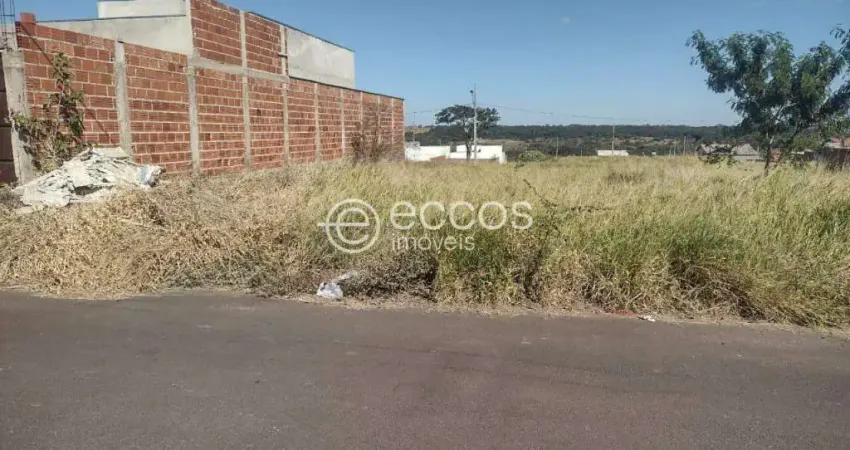 Terreno à venda na Rua Vilazito Gonçalves, --, Jardim Milenium, Araguari