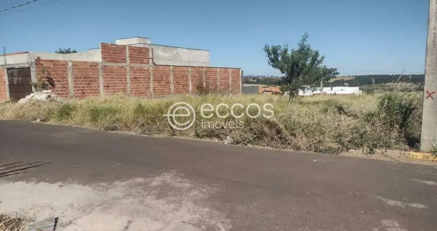 Terreno à venda na Rua Vilazito Gonçalves, --, Jardim Milenium, Araguari