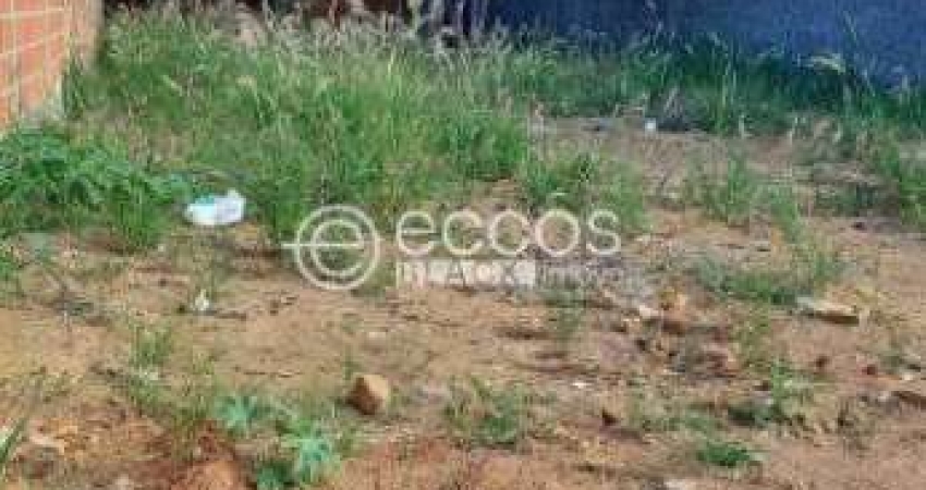 Terreno à venda na Rua Ana Batista, --, Vieno, Araguari